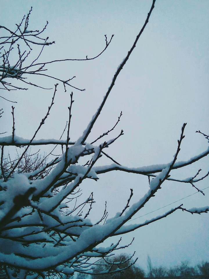 Snow in the sky