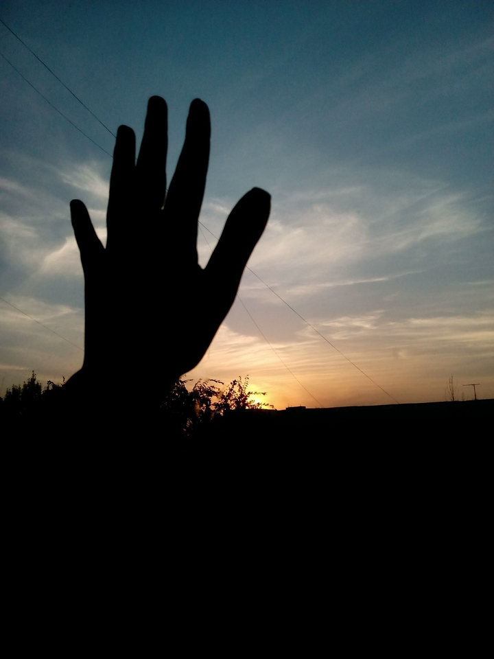 fly, sky