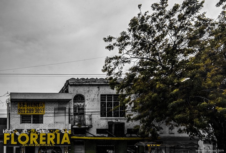 floreria / flowery