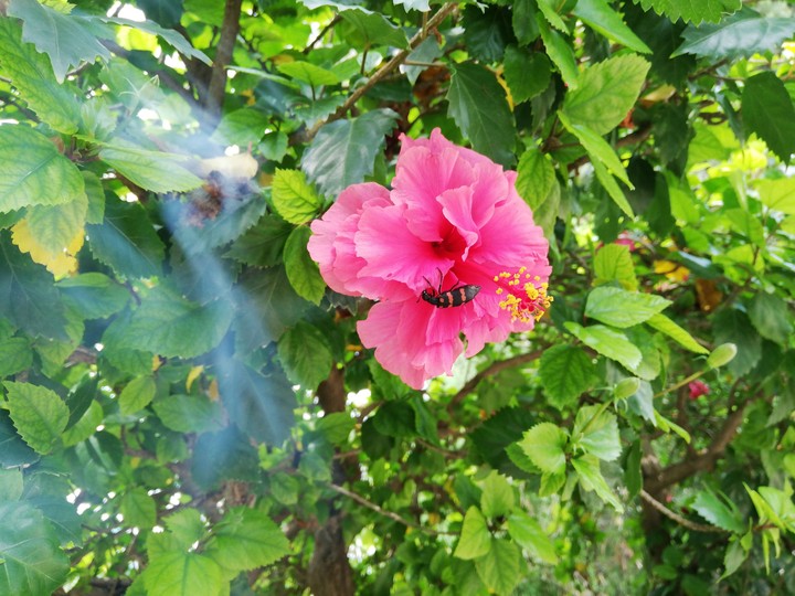 Click By Me