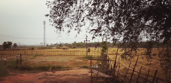 my click now