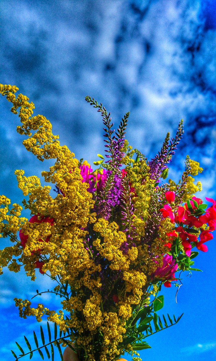 flowers