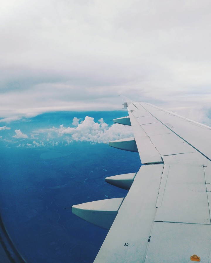 Fly
