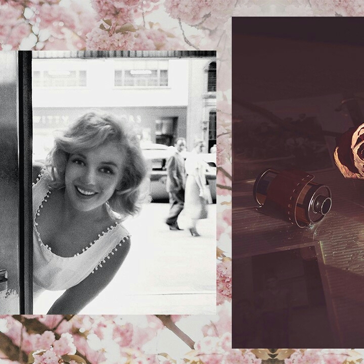 Marilyn ❤