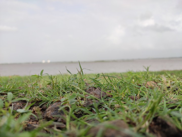 sea shore