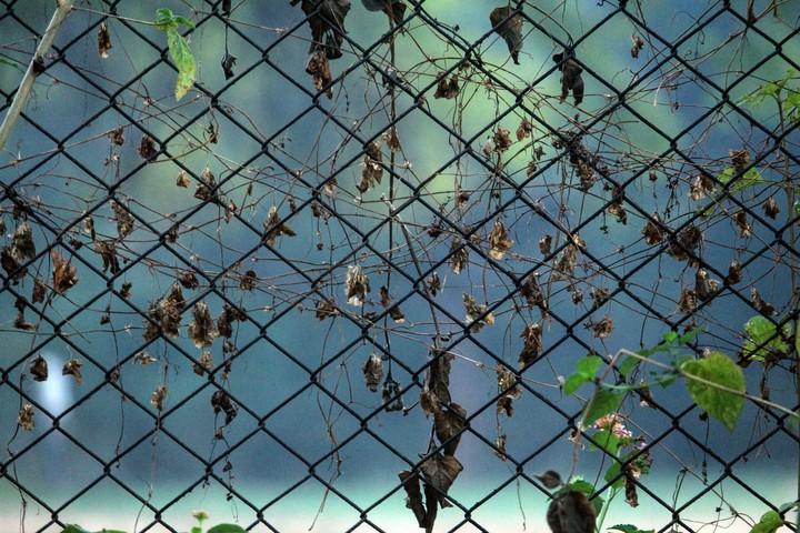Captivity feeling