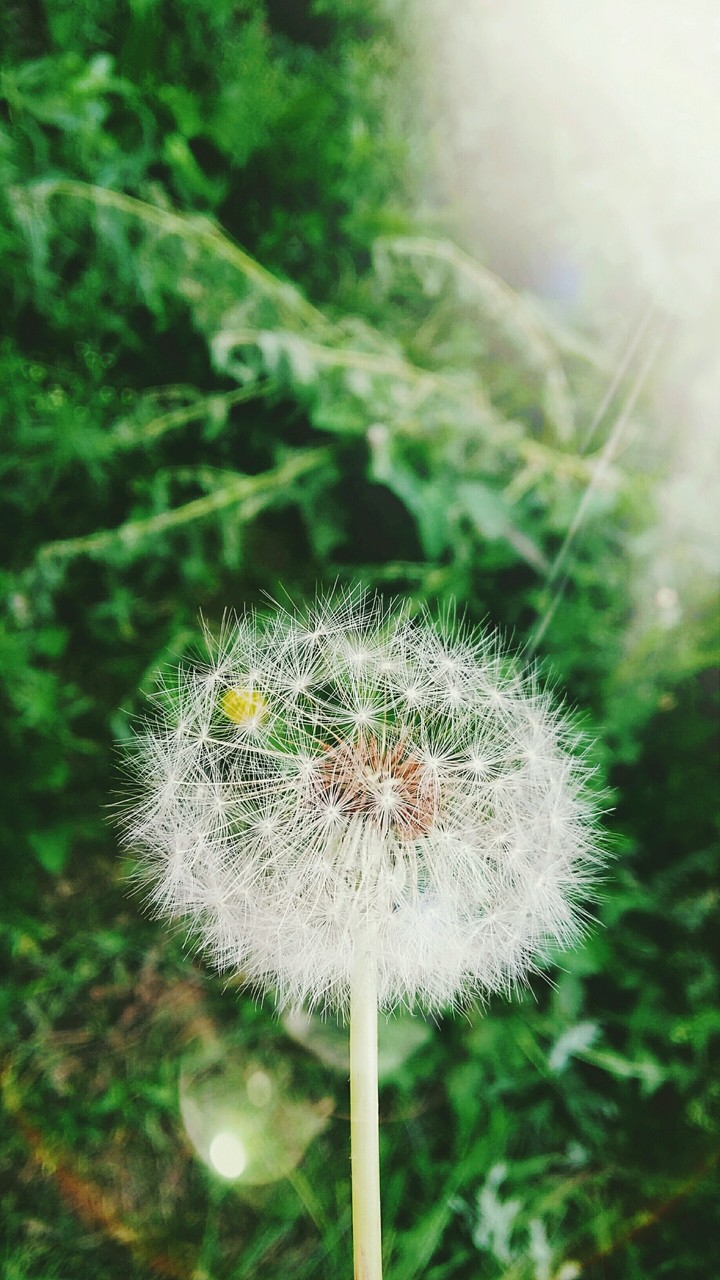 Summer