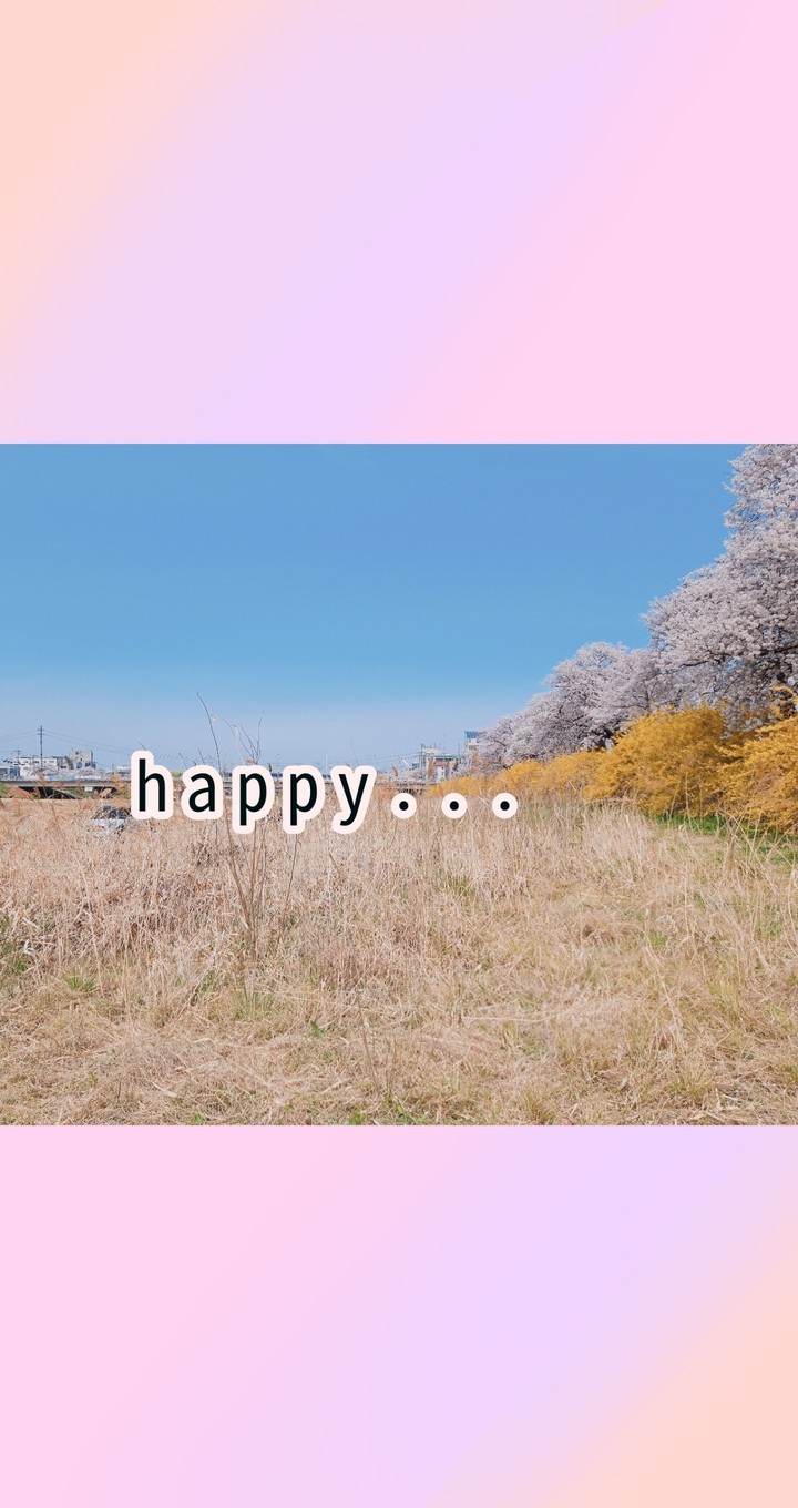벚꽃