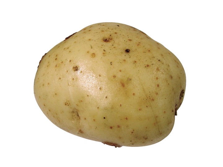 음식이미지