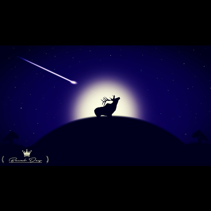Materialistic Night Scene