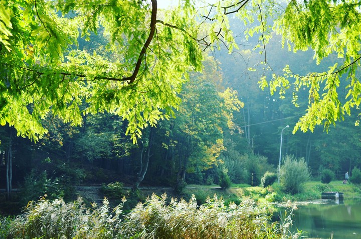 Park in Lviv, Ukraine