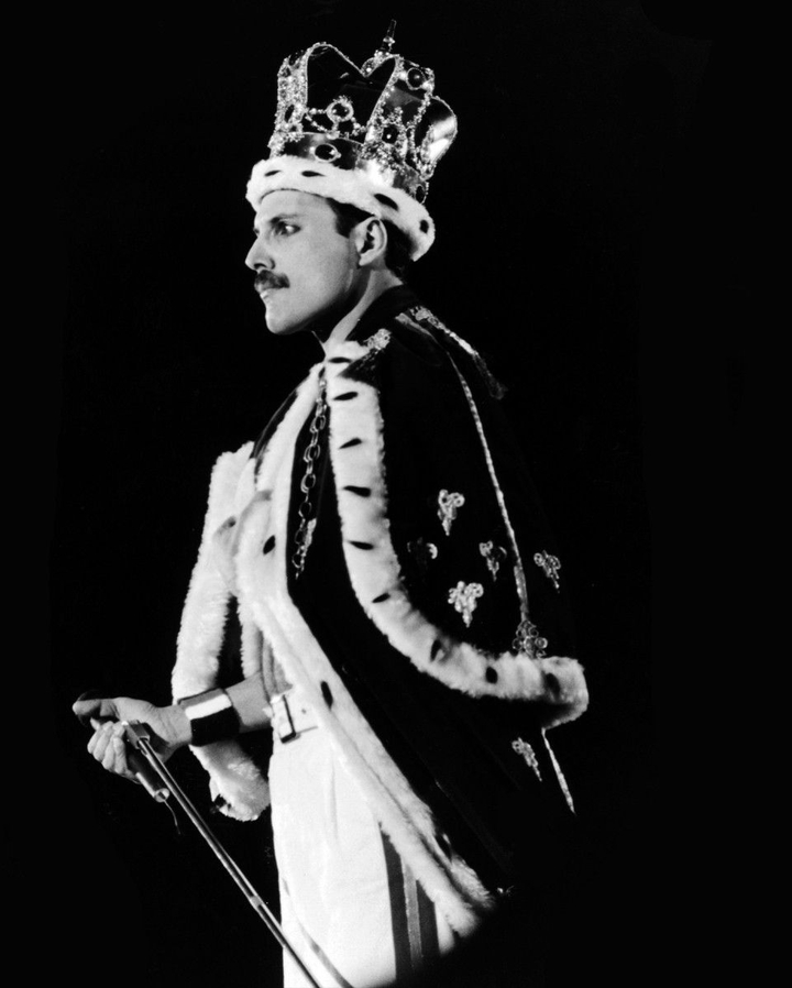 freddie