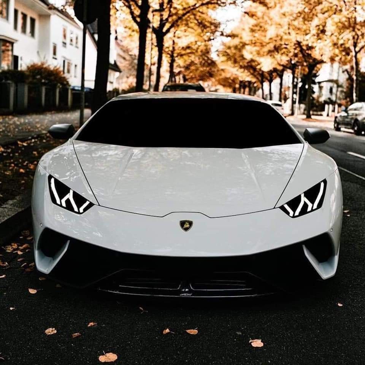 lambo