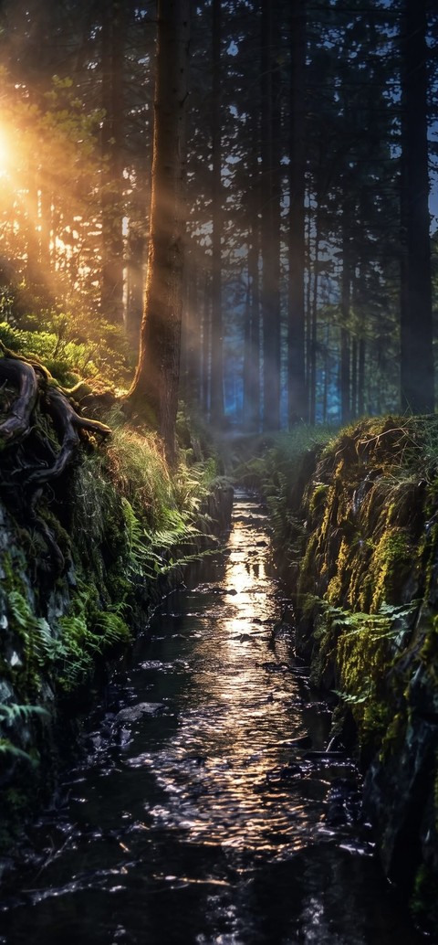 Nature, Green, Natural_environment