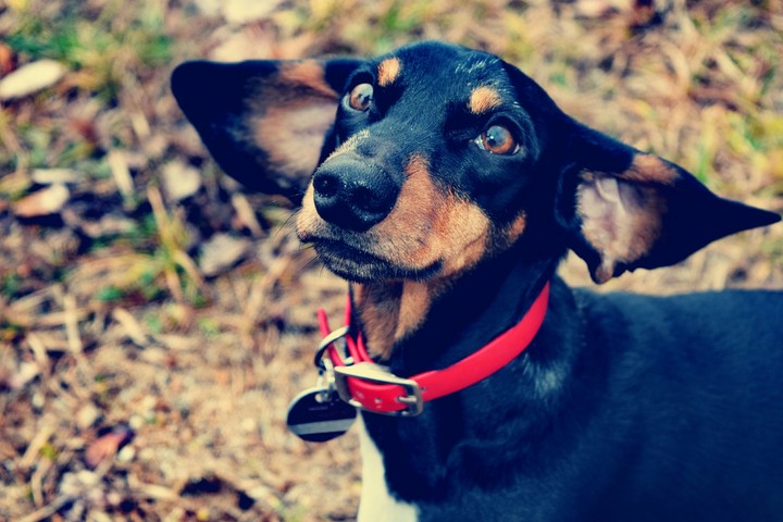 Keep smiling.