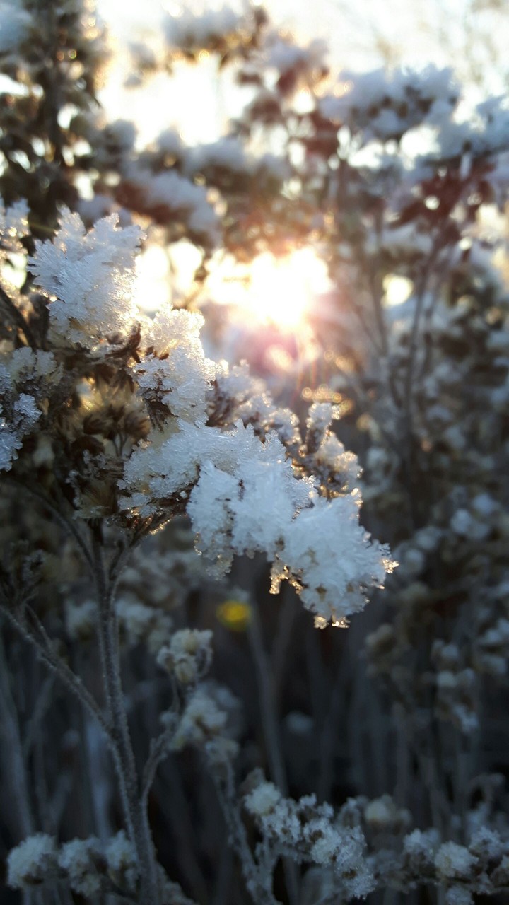 Cold morning