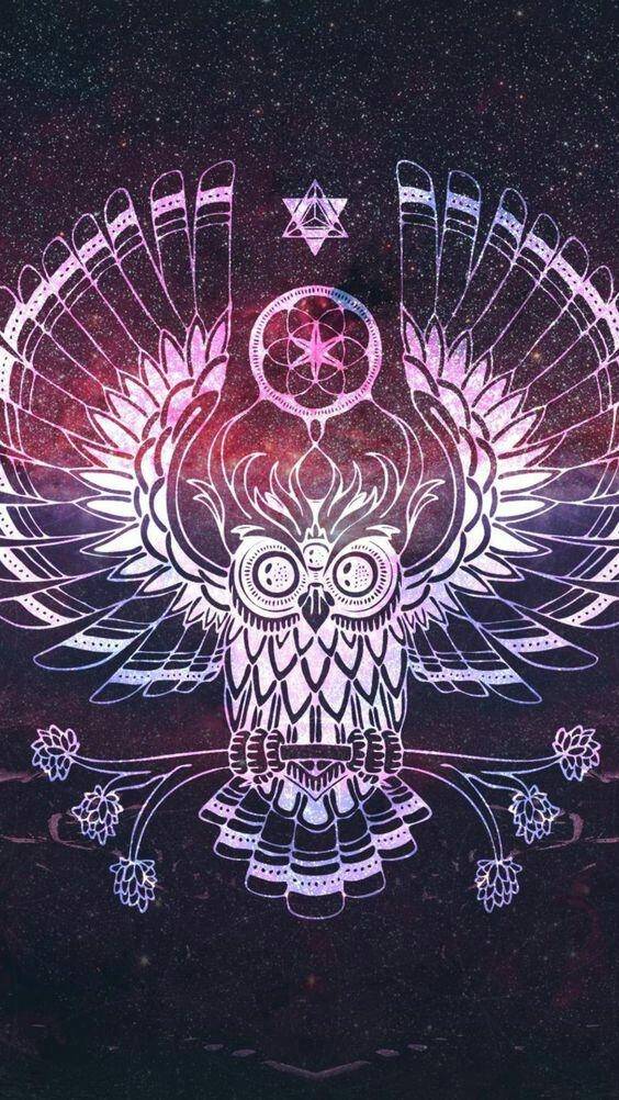 hibou