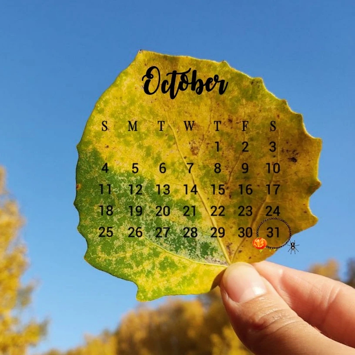 calendar
