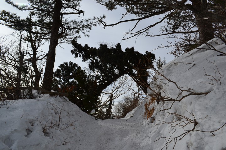 지리산이미지