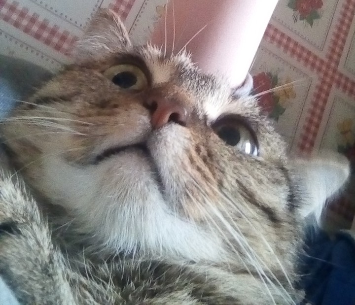 штооооо