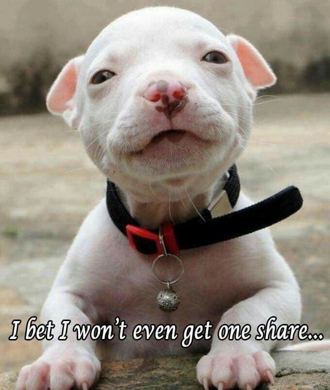 ♥️♥️♥️