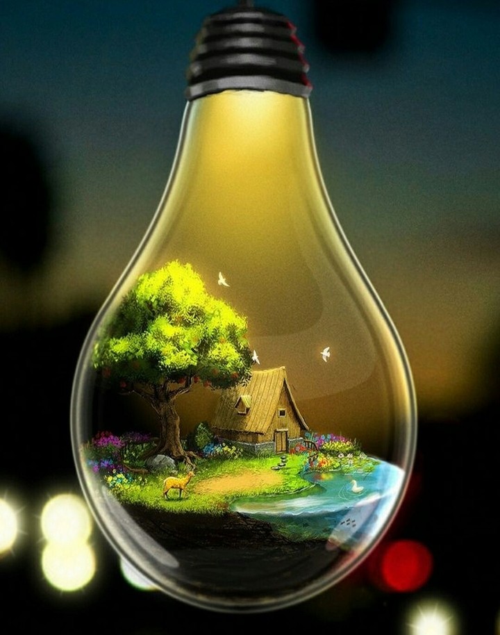 house light