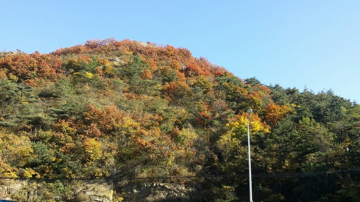 Natural Painting.