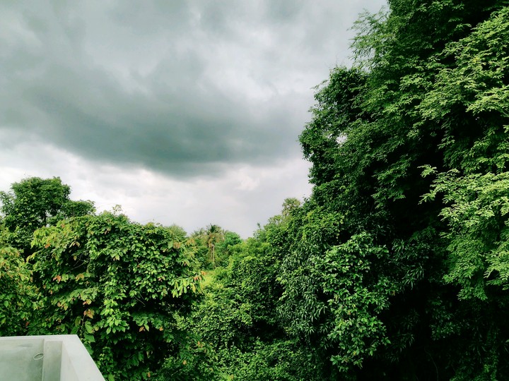 nature