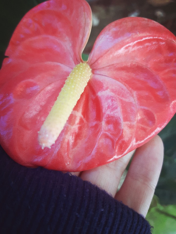 beutiful