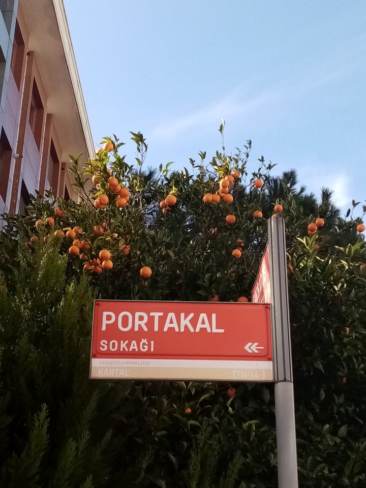 Portakallar ve sokağı