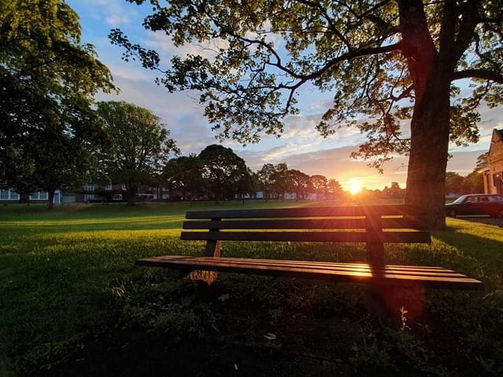 bench