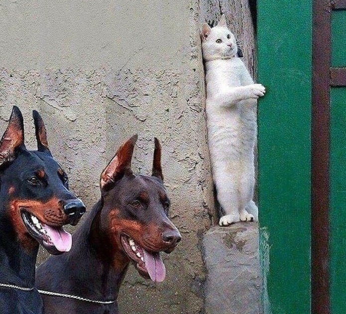 ?