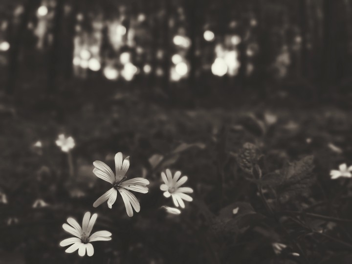 Black&White