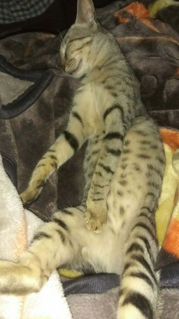 let me sleep little bit more ????