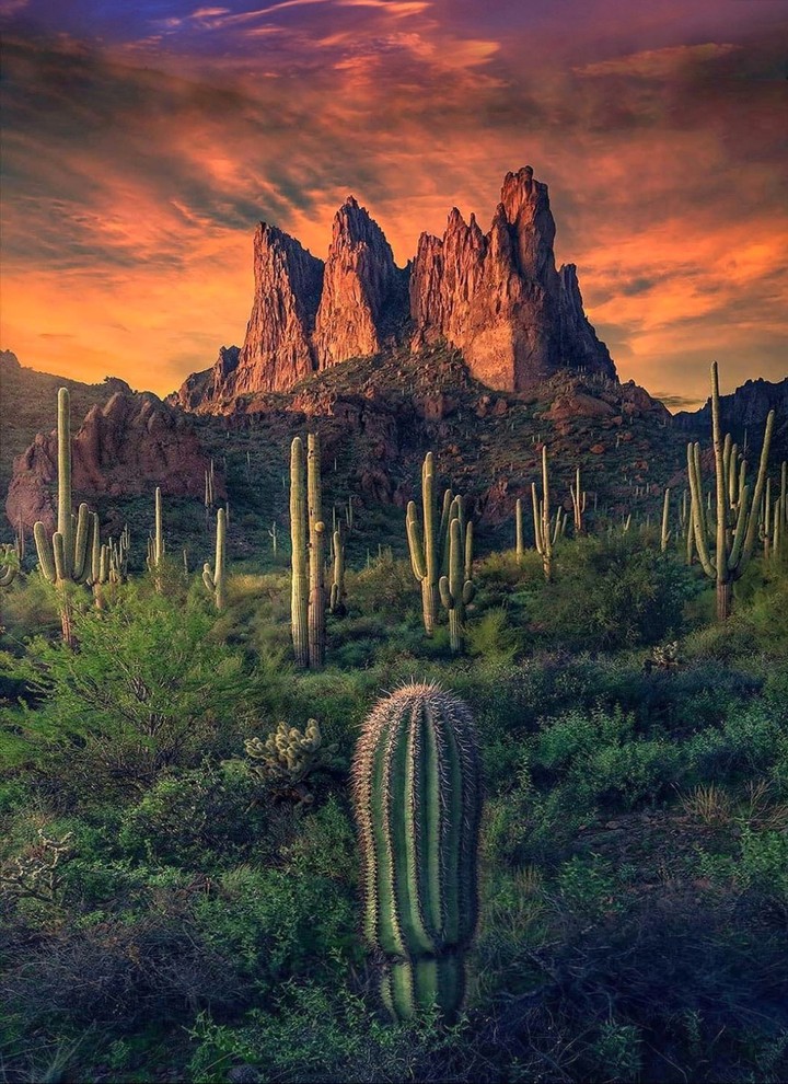 Mountains
