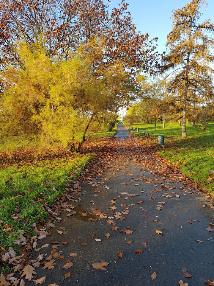 autumn