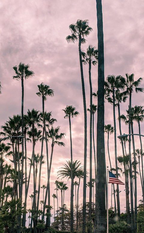 LA sunsets