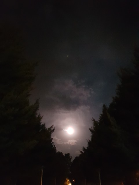 moon