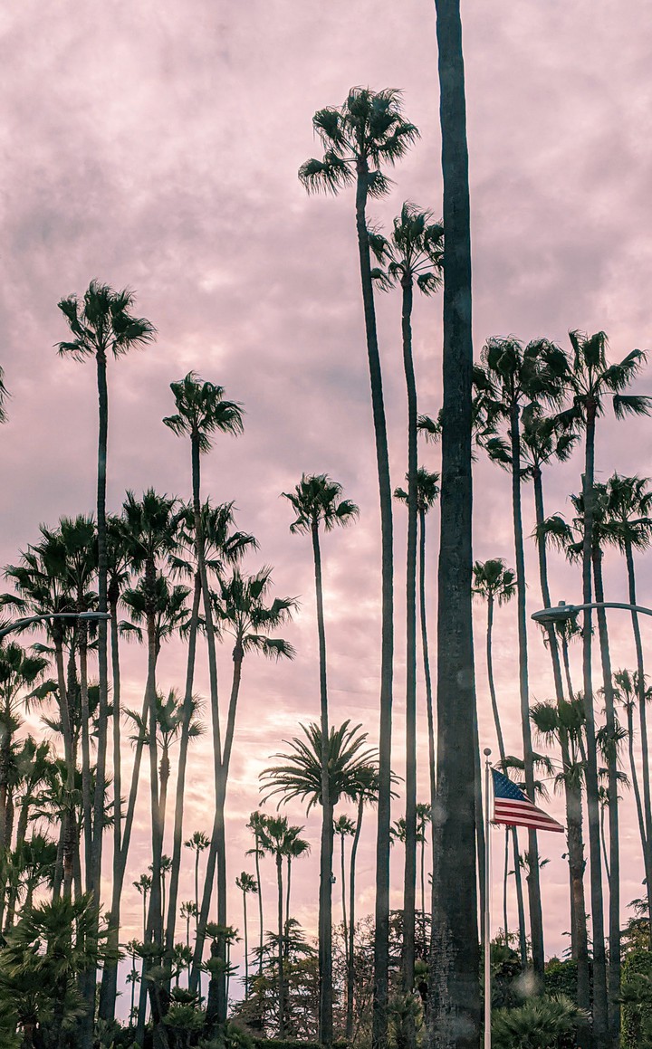 LA sunsets