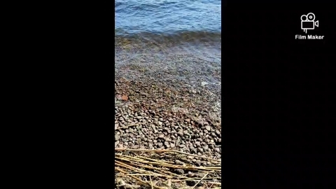 Waves