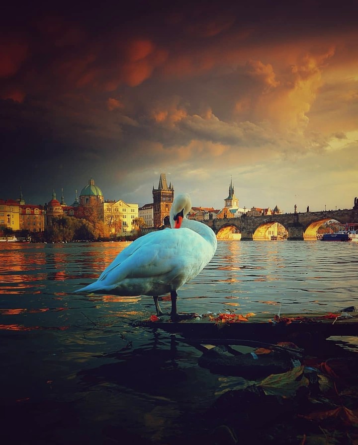 Prague