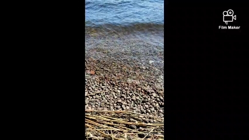 Waves