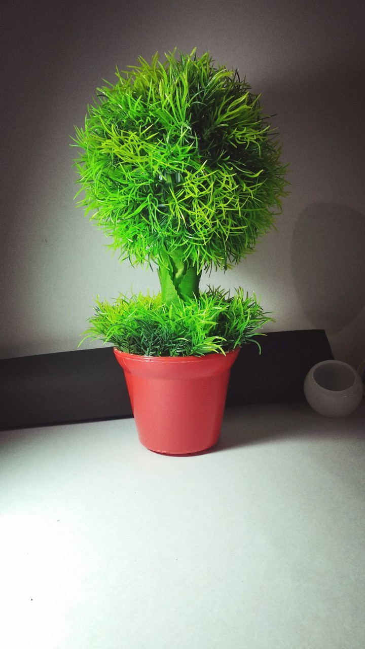 flowerpot