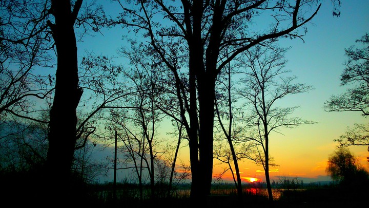 Late November