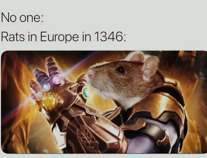 meme