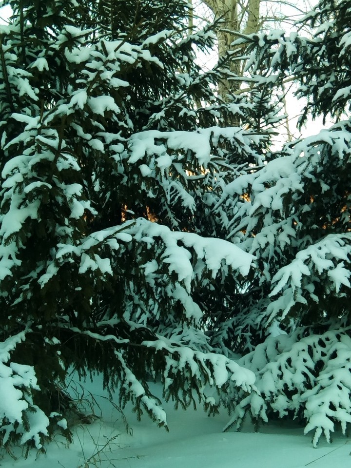 зимняя красота