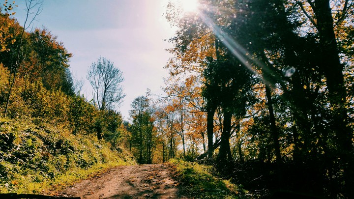 beautiful October