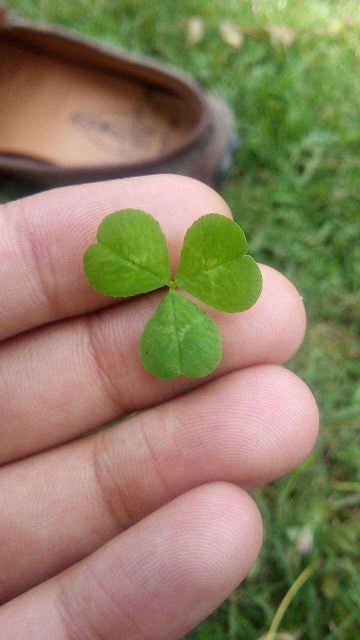 Green life