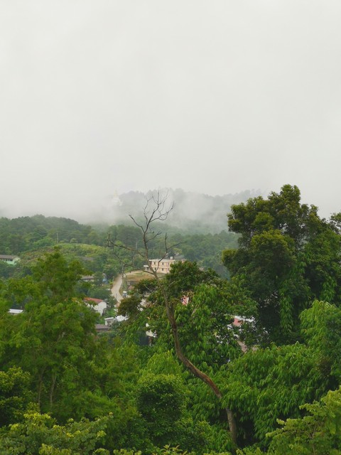 Mae Salong Thailand