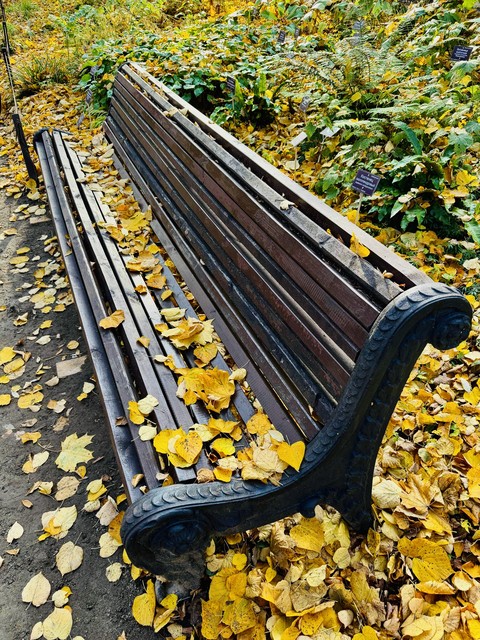 тапети Autumn, park